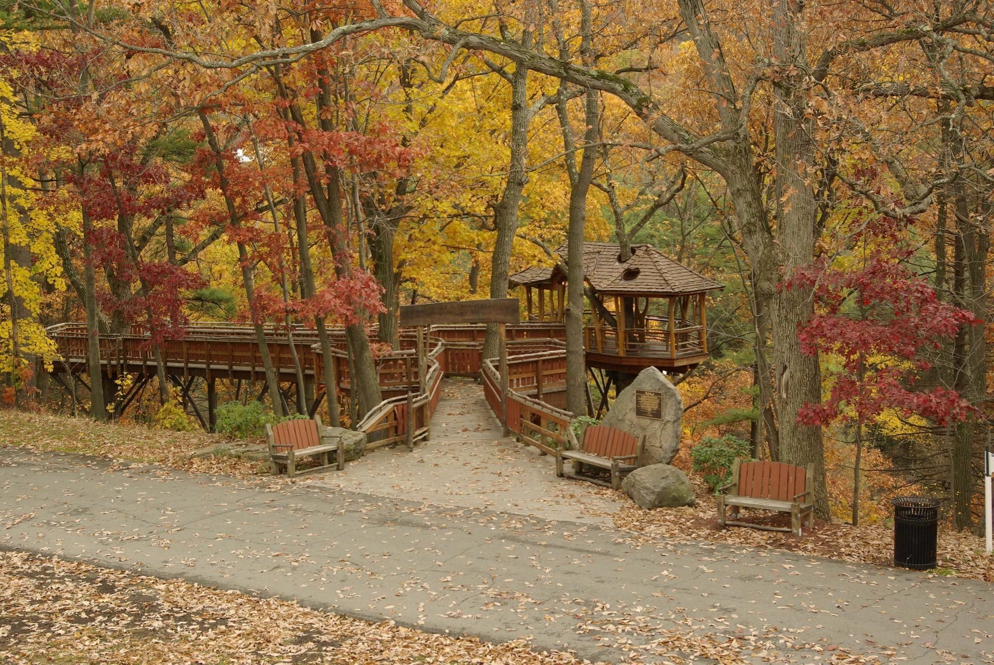 Hotel Hampton At Montage Mountain 3*